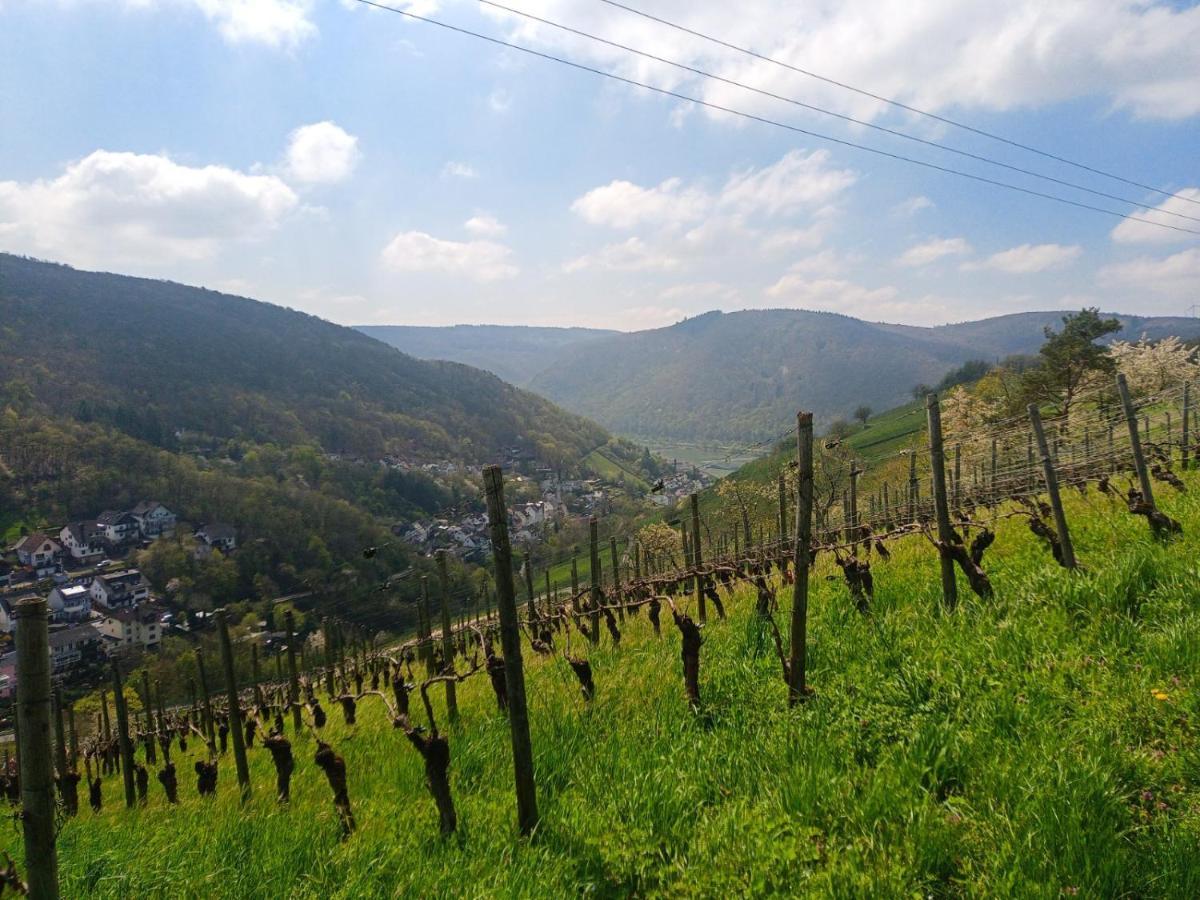 Pension Milberg Assmannshausen Rüdesheim am Rhein Buitenkant foto