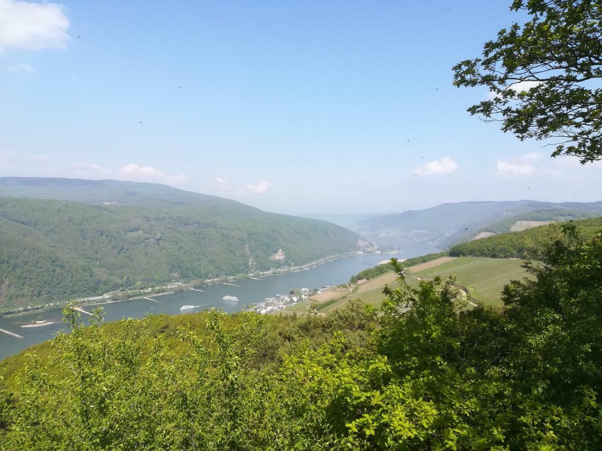 Pension Milberg Assmannshausen Rüdesheim am Rhein Buitenkant foto